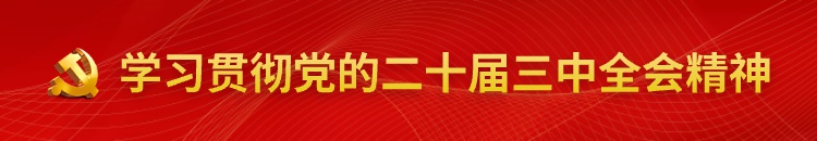 二十屆三中全會(huì)精神